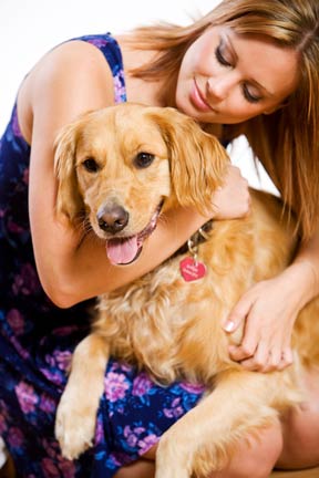 Pet Oral Care Can Prevent Other Harmful Effects